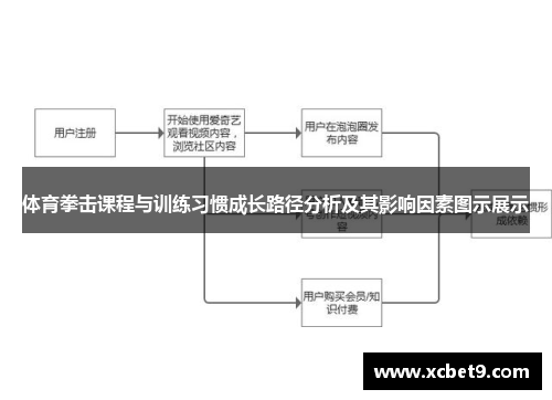 体育拳击课程与训练习惯成长路径分析及其影响因素图示展示
